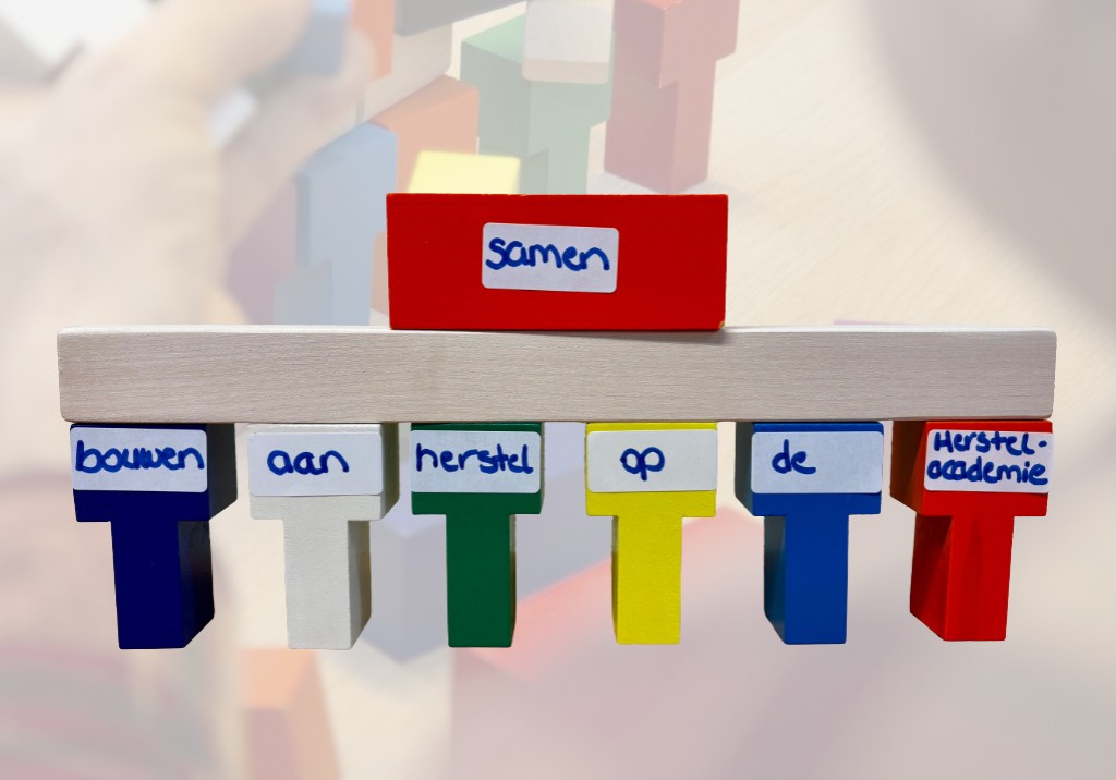 Cursus Samen bouwen aan herstel bij Herstelacademie Haarlem en Meer